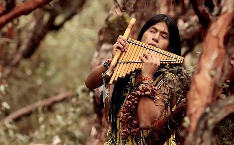 , Abba Chiquitita, Voice Of Nature, Native Beauty, Indian Musical Instruments, Native American Music, Native American Actors, Native American Flute, Native American Men, Indigenous Americans