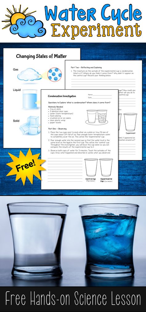 Classroom Experiments, Water Cycle Lessons, Water Cycle Experiment, Water Cycle Project, Water Cycle Activities, Water Lessons, Science Experiments Kids Elementary, The Water Cycle, Weather Unit