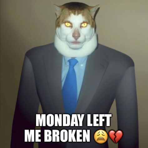 Monday Left Me Broken, Very Funny Pictures, Very Funny, Leave Me, Knowing You, Funny Pictures, Memes