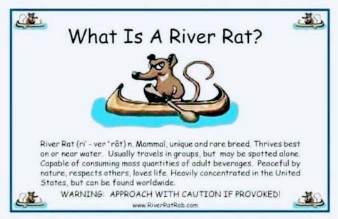 What is a River Rat? River Rat, Tattoo Parlor, Artwork Inspiration, Respect Others, Rare Breed, Adult Drinks, Dream Board, Rats, Mammals