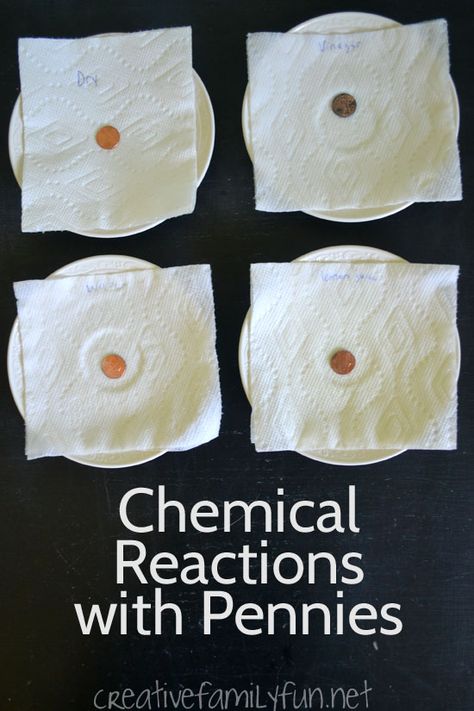 This fun science project for kids will help them explore chemical reactions with pennies. Science Experience, Fun Experiments, Experiments Kids, Science Camp, 8th Grade Science, Science Crafts, Kid Experiments, Science Projects For Kids, Science Chemistry