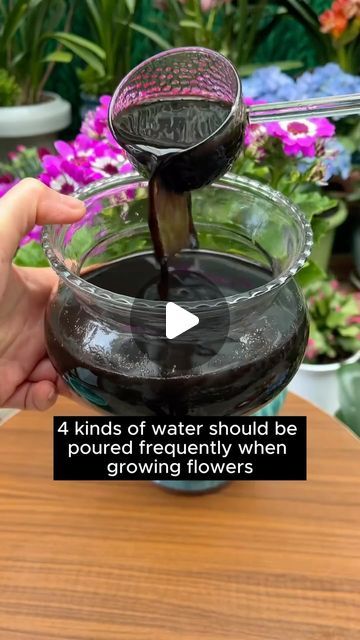 Planting At Home, Homemade Plant Fertilizer, Plants Hacks, Garden In Pots, Container Water Gardens, Plant Fertilizer, Types Of Water, Gardening Tricks, Grow A Garden