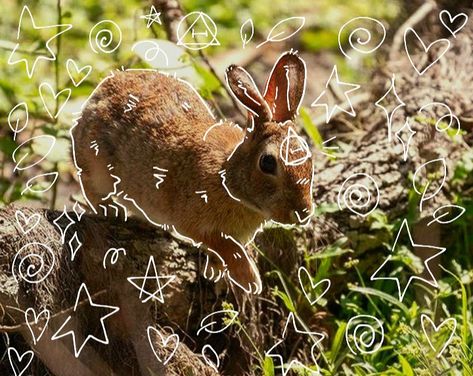 Rabbit Aesthetic Pfp, Thrianta Rabbit, Rabbit Therian, Therian Symbol Pfp, Rabbit Invasion Aesthetic, Swamp Rabbit, Therian Pfp, Therian Stuff, Mask Ideas