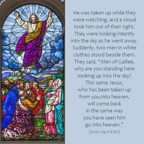 Ascension Day Ascension Day Quotes, Palm Sunday Quotes, Ascension Day, Clothes Stand, Church Banners, Sunday Quotes, Jesus Is Coming, Palm Sunday, King Jesus