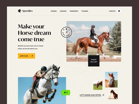 Horse Poster Design, Horse Website Design, Horse Betting, Minimalist Web Design, Equine Nutrition, Accessories Website, Horse Anatomy, Page Layout Design, Pamphlet Design