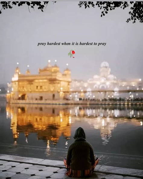 Golden Temple Captions, Caption For Temple Pictures, Gurudwara Quotes, Temple Captions Instagram, Very Deep Quotes, One Word Caption, Spiritual Inspiration Quotes, One Word Instagram Captions, Sikh Quotes