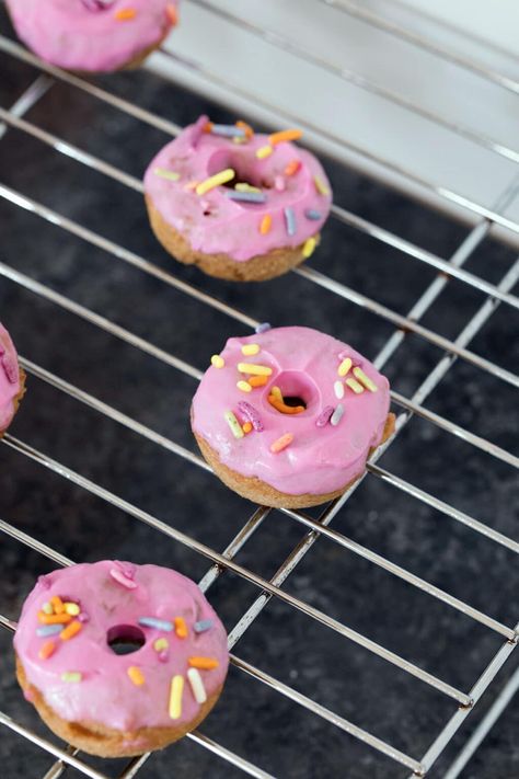 Banana Donuts for Dogs -- Everyone knows doughnuts are one of the most delicious desserts... But why shouldn't your dog have any of the fun? These Banana Doughnuts for Dogs are the perfect special occasion or any time homemade dog treat for your pup! They're easy to make and your dog will go wild for them! Dog Donut Treat Recipe, Fancy Dog Treat Recipes, Valentines Dog Treats Recipe, Spring Dog Treats, Dog Doughnuts Recipe, Doggie Donuts Recipe, Homemade Dog Donut Treats, Dog Donuts Homemade, Fancy Dog Treats Homemade