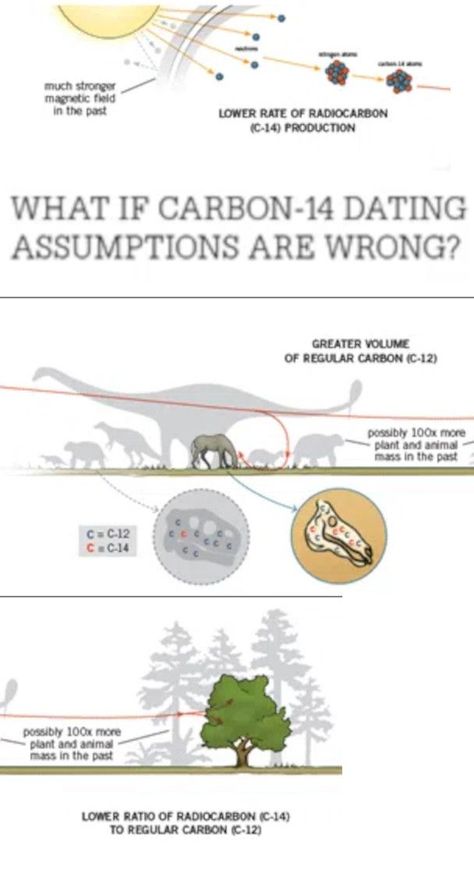 What If Carbon-14 Dating Assumptions Are Wrong?

Conventional dating methods assume the past ratio based on current levels. But what if these assumptions are wrong?

Conventional geologists claim that fossils, coals, and diamonds are millions to billions of years old. Yet it has now been firmly established that they still contain measurable amounts of radiocarbon, which has a half-life (decay rate) of only 5,730 years.

After just one million years it should have decayed... 

Click to read more Half Life, Magnetic Field, One Million, One In A Million, Geology, What If, Biology, To Read, Dates