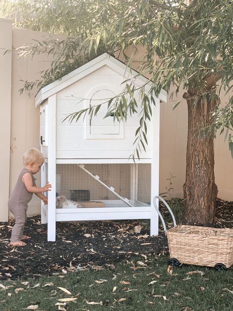 Diy Bunny Cage, Outdoor Rabbit Hutch, My Hospital Bag, Bunny Hutch, Large Rabbits, Mini Lop, Coop Design, Bunny Cages, Rabbit Cage