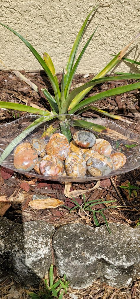 Brown red blue white crystals Ibis Jasper, Spirit Quartz, Amethyst Point, Back Together, Spiritual Healing, In The End, Water Flow, Live Show, Follow For More