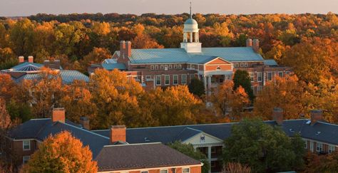 10 of the Easiest Courses at Wake Forest University - Humans of University University Of Southern Maine, Georgian Library, Clemson University Campus, Campus Architecture, College Counseling, University Architecture, Wake Forest University, North Carolina Homes, Wake Forest