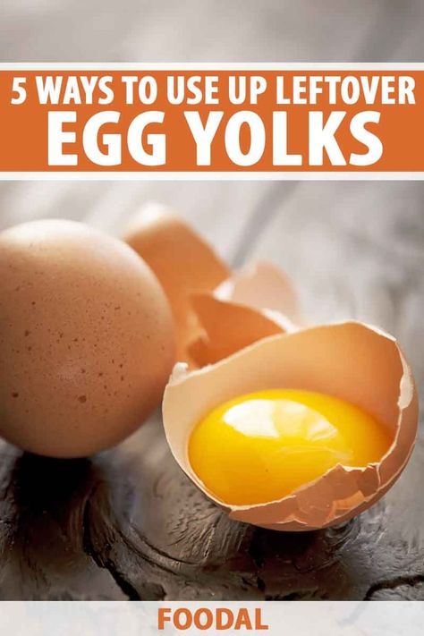 Searching for ways to salvage the egg yolks you didn’t need to make those macaroons? This silky substance gives an upgrade to plenty of recipes and we’re full of ideas, from hollandaise to homemade pudding. Find our lineup of 5 spectacular ways to make the most of your yolks now on Foodal. #eggyolk #leftovers #foodal Leftover Egg Yolks Recipes, Egg Yolk Uses, Egg Yolk Recipes, No Egg Desserts, Homemade Pudding, Best Gluten Free Recipes, Easy Eggs, Egg Yolks, Gf Recipes