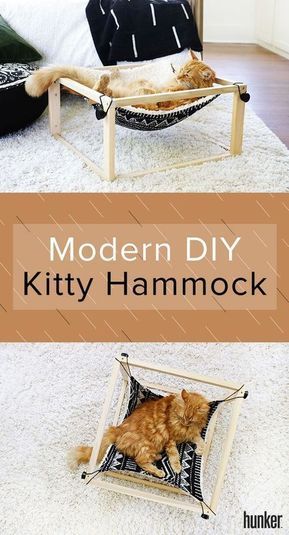 Diy Cat Hammock, Excel Tips, Diy Cleaning Hacks, Cat Hammock, Bedroom Paint Colors, Diy Cat, Sensory Bin, Home Cinema, Cozy Place