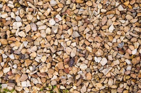 Rock,Background,,Commonly,Called,Pea,Gravel,Sidewalks. Pea Gravel Dog Potty, Outdoor Dog Potty Area Diy, Backyard Pea Gravel, Balcony For Dogs, Porch Potty Diy, Dog Areas In Backyard, Dog Potty Diy, Porch Potty, Dog Potty Area