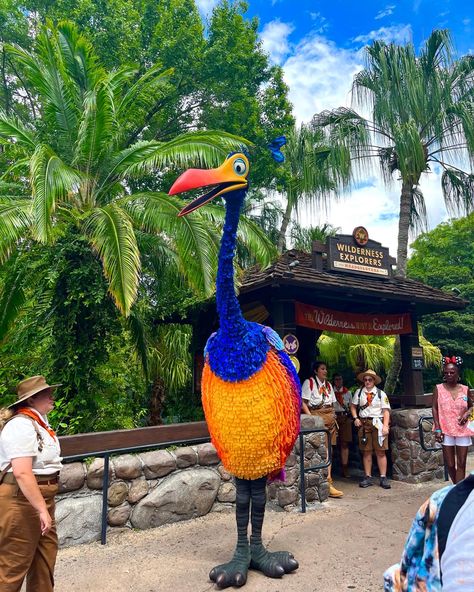 Disney Animal Kingdom Aesthetic, Disney Vibes Aesthetic, Animal Kingdom Aesthetic, Disney Parks Aesthetic, Disneyworld Aesthetic, Disneyland Florida, Orlando Florida Disney, Disney World Aesthetic, Disney Animal Kingdom