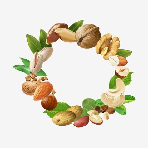 Fruit Logo Design, Different Nuts, Fruit Logo, Brazil Nuts, Vector Food, Frame Vector, Food Backgrounds, Dry Fruits, Cashew Nut