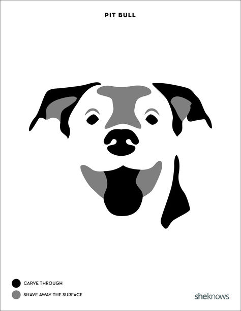 Pit bull Pumpkin Carving Patterns Printable Free, Pumpkin Dog Carving, Bulldog Images, Dog Template, Dog Stencil, Printables Ideas, Disney Pumpkin Carving, Scary Halloween Pumpkins, Pumpkin Drawing