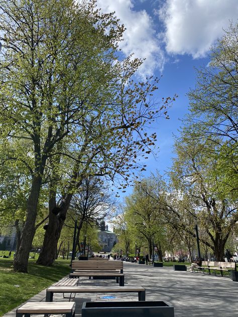 benches on a concrete path surrounded by grass and trees, illuminated by a blue sky with white clouds Mcgill University Aesthetic, Mcgill Aesthetic, University Motivation, Soft Pictures, College Vision Board, Mcgill University, School Campus, Dream School, University Life