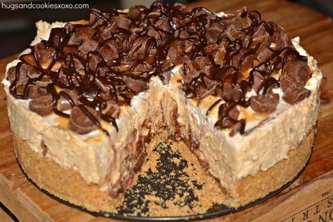 No-Bake Hot Fudge Rolo Cheesecake Rolo Cheesecake, Fudge Cheesecake, Cheesecakes Recipes, No Bake Cheesecakes, Peanut Butter Cup Brownies, Ice Cream Sandwich Cake, Brownie Cups, Cake Cheesecake, Sandwich Cake