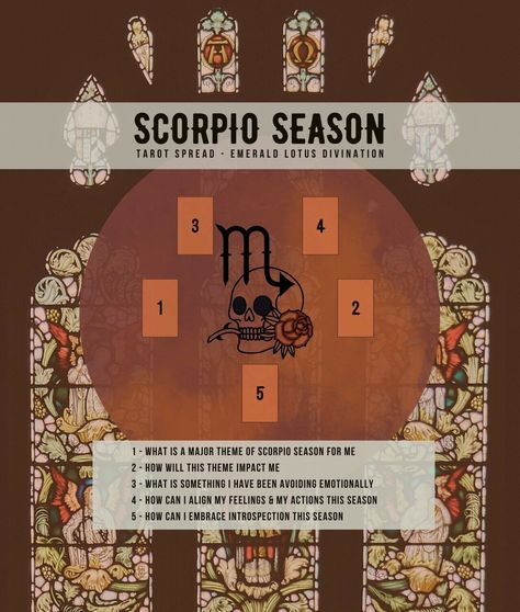 Scorpio Season Is Here, Tarot Reading Spreads, Learning Tarot Cards, Tarot Guide, Magic Witch, Libra Season, Tarot Card Spreads, Tarot Book, Tarot Tips