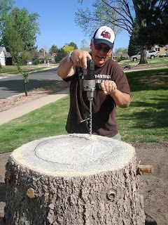 Louise Sanchez / Herbs Crafts Gifts: How we hollowed out a stump How To Hollow Out A Log, Tree Stump Bird Bath, How To Hollow Out A Tree Stump Planters, Stump Bird Bath, Tree Stump Planter Ideas, Tree Stump Ideas Outdoor, Log Planters, Tree Stump Ideas, Stump Decor