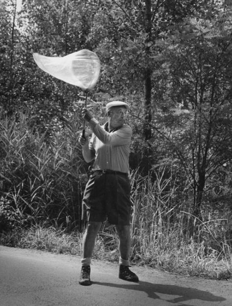 I thought that this picture was very significant. Because, Clegg was only interested in butterflies that he caught himself. It made the collection more personal. Butterfly Catching, Butterfly Catcher, Catching Butterflies, Bored Board, Butterfly Books, Inside Art, Photo Portraits, Butterfly Images, Art And Literature