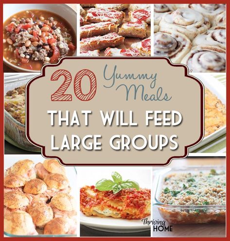 20 meal ideas that will feed large groups of people. Keep this roundup of yummy, hearty recipes on hand for the next time you host a big group! Meals For Large Groups, Group Dinner, Large Group Meals, Large Family Meals, Easy Summer Dinners, Inexpensive Meals, Easy Summer Meals, Cooking For A Crowd, Dinner Easy