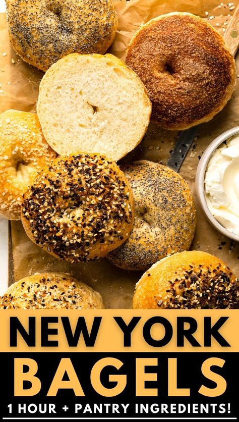 Make Bagels At Home, Ny Style Bagels Recipe, Soft Bagel Recipe, Panera Bagel Recipe, Single Bagel Recipe, New York Style Bagel Recipe, New York Bagels Recipe Homemade, Ny Bagel Recipe, Einstein Bagels Copycat