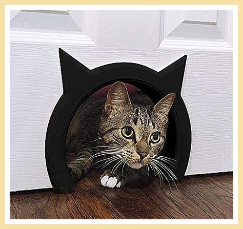 The Kitty Pass Interior Cat Door Special Midnight Edition (Black) Kitty Door, Inside Cat, Pet Doors, Door Interior, Pet Door, Cat Door, Pet Gate, Baby Organization, Large Cats