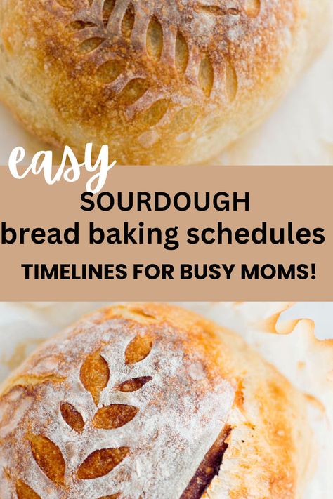 same day sourdough bread on a table Same Day Bread, Sourdough Bread With Starter, Same Day Sourdough Bread, Bread Recipes For Beginners, Same Day Sourdough, Easy Sourdough Recipes, Overnight Sourdough, Easy Sourdough Bread, Beginners Bread Recipe