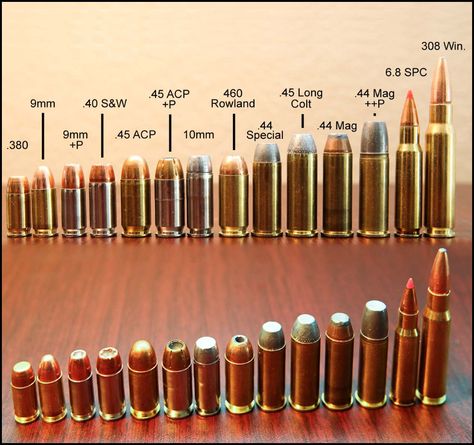 5 Pictures That Will Help You Explain The Difference Between Bullet Calibers Pew Pew Pew, Self Defense, Different Types, Size Chart, Fish