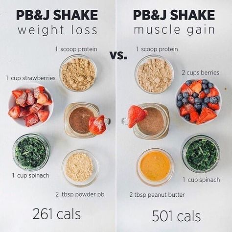 Weight loss vsmuscle gain protein shake ideasSwipe to see 2 moreWhich comgain ideas Loss Muscle Protein Shake Swipe Weight Check more at s://proten.naa7.com/weight-loss-vs-muscle-gain-protein-shake-ideas-swipe-to-see-2-more-which-com/ Recipes For Weight Gain, Shake Ideas, Weight Gain Supplements, Most Effective Diet, Paleo Diet Plan, Weight Gain Meals, Muscle Gain, Protein Shake, Healthy Diet Plans