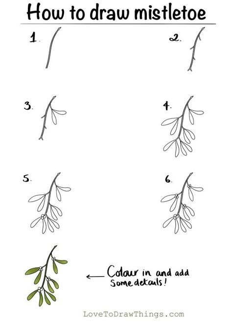 Mistletoe Drawing Easy, Draw Mistletoe, Mistletoe Drawing, Drawing Easy Step By Step, Easy Christmas Drawings, How To Draw Cute, Easy Step By Step Drawing, Draw Cute, Christmas Doodles