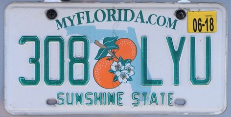 Florida License Plate Lookup License Plate Tattoo, Plate Tattoo, Florida License Plate, Car License Plates, Map Of Florida, Racun Shopee, Surfboard Design, Car License, Private Investigator