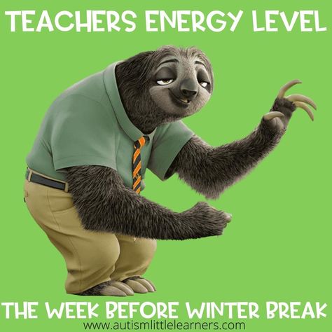 December Humor, Teachers Humor, Teachers Lounge Makeover, Teacher Humour, Sent Pins, Teacher Funnies, Work Funnies, Teacher Quotes Funny, Teaching Humor