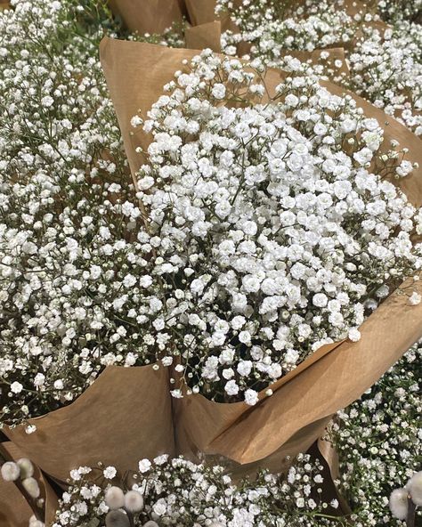 Beautiful white flowers Collage Filler Photos, Aesthetic Instagram Fillers, Aesthetic Instagram Filler Pictures, Instagram Filler Photos Neutral, Filler Photos Instagram Aesthetic, Insta Filler Pics, Filler Pics For Instagram, Filler Photos Instagram, Instagram Filler Photos