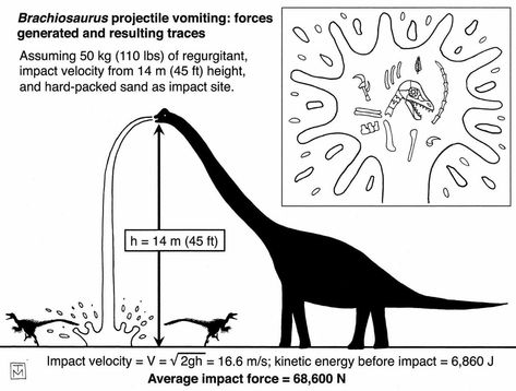 Brachiosaurus projectile vomit force “Dinosaurs Without Bones: Dinosaur Lives Revealed by Their Trace Fossils" - Anthony Martin Science Diagrams, Ancient Animals, Paleo Art, Dinosaur Funny, Jurassic Park World, Dinosaur Art, Prehistoric Creatures, Prehistoric Animals, History Facts