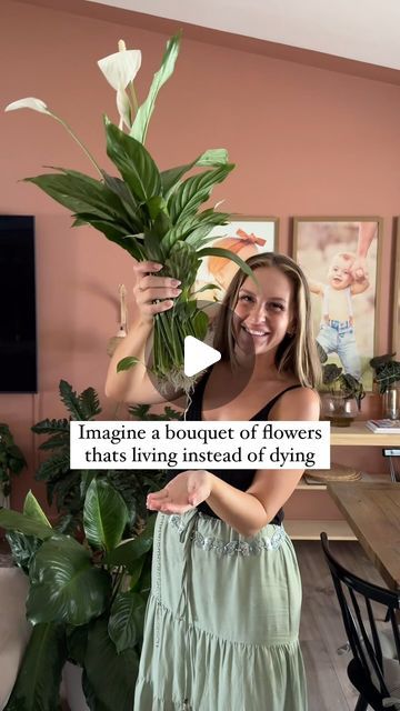 11K likes, 626 comments - channygrayhome on July 25, 2024: "A living bouquet of flowers!? YES PLEASE Why do we have to settle for a plant arrangement that’s time is limited when we can have something grow and live on permanently in our home?! I grow dozens of plants in my home, in water, but peace lily are one of my favorite! As long as you add fertilizer to the water at a diluted strength, it’ll grow happily for a VERY long time (dare I say forever?). Here are any deets you may need: Plant Domino Peace Lily, Live Plant Arrangements, Peace Lily In Water Vase, Plants That Can Live In Water, Plants In Water Vase, Peace Lily In Water, Living Bouquet, Lilly Plants, Peace Lily Flower