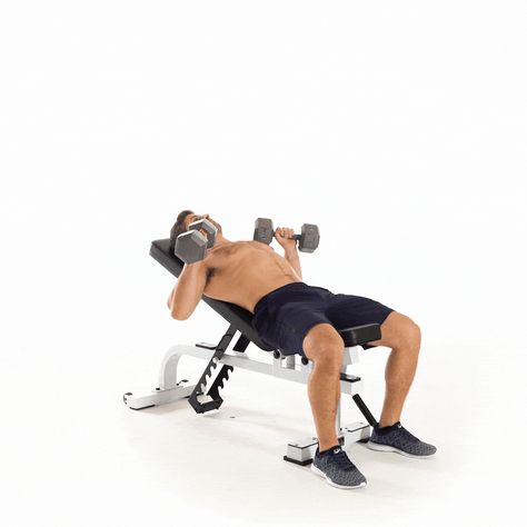 inclinedumbbellbenchpress.gif 1,000×1,000 pixels Incline Dumbbell Press, Incline Bench Press, Body Muscle Anatomy, Barbell Press, Best Chest Workout, Push Day, Incline Bench, Pectoral Muscles, Dumbbell Press