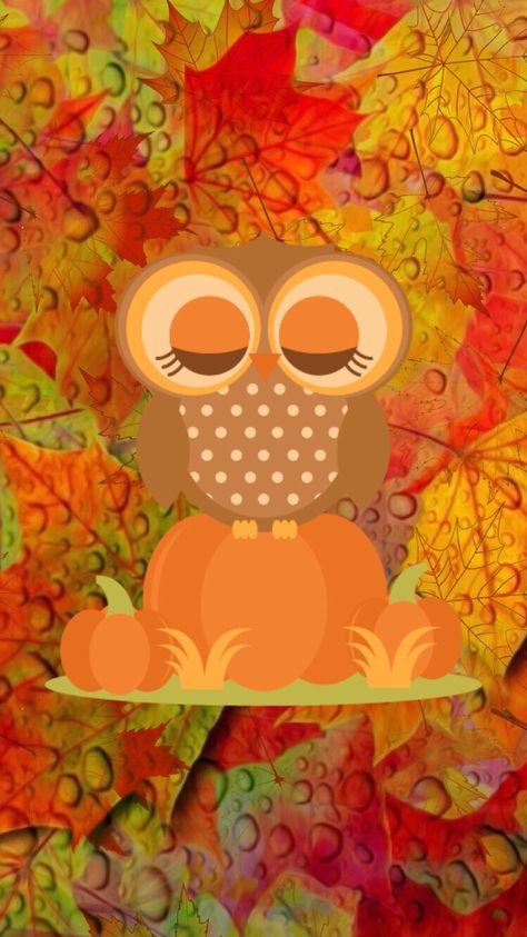 Thanksgiving Owl, Thanksgiving Wallpapers, Fall Owl, Thanksgiving Wallpaper, Fall Thanksgiving, Beautiful Sunset, Owls, Minnie Mouse, Thanksgiving