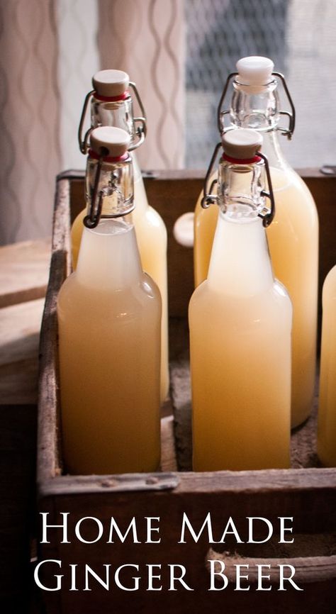 Homemade Ginger Beer, Ginger Ale Recipe, Ginger Beer Recipe, Homemade Ginger Ale, Fermentation Recipes, Craft Cocktail, Drink Bar, Fermented Drink, Homemade Drinks