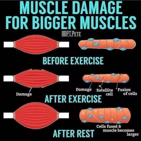 Gym Tips, Fitness Photos, Men's Health Fitness, Big Muscles, Leg Day, Gym Workout Tips, Bodybuilding Motivation, Health Facts, Mens Health