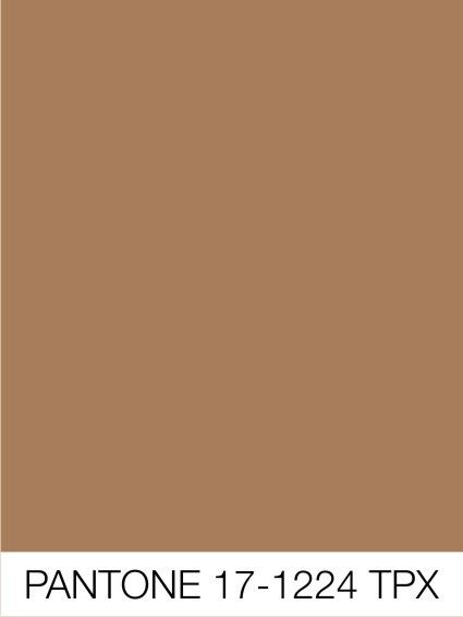 Pantone Camel Color Palette, Deep Autumn Palette, Colour Trend, Beige Color Palette, Color Board, Halloween Wallpaper Iphone, Warm Undertone, Color Analysis, Paint Colors For Home