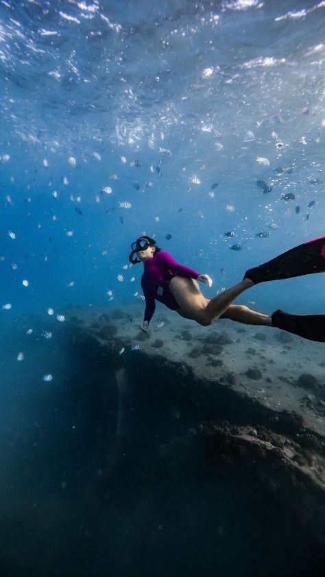 When ocean condition gets better?😩 We miss diving!!! 🌊🫶🏽💙💙 Cute mermaid @alialfarom wearing @jonesea 🐚 . . . - - - - - - - - -… | Instagram Swimwear Photoshoot, Underwater Photographer, Hawaii Oahu, Free Diving, Cute Mermaid, Branding Photoshoot, Underwater Photography, Oahu, Lightroom