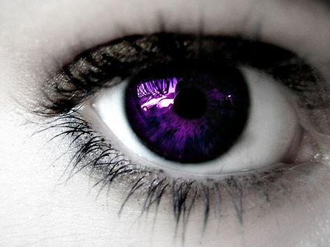 Violet eyes | Eyes like amethysts | Sorceress | Mage | Demon Bleach Cosplay, Colored Eye Contacts, Yennefer Of Vengerberg, Eyes Wallpaper, Violet Eyes, Crazy Eyes, Magic Eyes, Eye Photography, Aesthetic Eyes