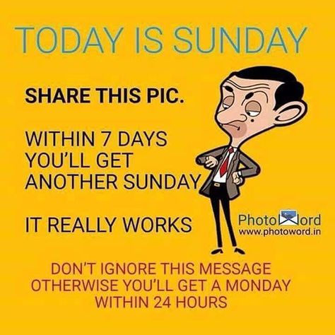 Untitled Sunday Quotes Funny Humor, Good Morning Sunday Funny, Sunday Morning Memes, Happy Sunday Messages, Sunday Morning Humor, Sunday Meme, Sunday Humor, Happy Sunday Images, Sunday Messages