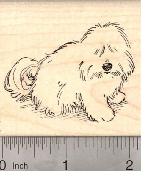 Cotton De Tulear, Coton De Tulear Dogs, Coton De Tulear, Vintage Flash, Wildlife Conservation, Seal Stamps, Custom Stamps, Pet Loss, Exotic Pets