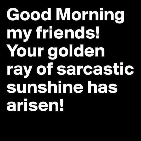 Snarky Good Morning Quotes, Sassy Good Morning Quotes, Sarcastic Morning Quotes, Good Morning Sassy Quotes, Sarcastic Good Morning Quotes, Ray Of Sunshine Quotes, Sunshine Quotes Funny, Good Morning Funny Humor Hilarious, Good Morning My Friends