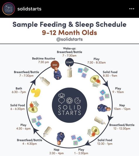 Baby Solid Food Schedule, 11 Month Old Food, 9 Month Old Baby Food, Food Schedule, Baby Food Schedule, Baby Essential List, Baby Progress, Baby Routine, Baby Feeding Schedule