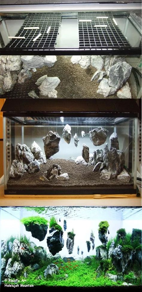 Floating Rock Aquarium, Avatar Themed Fish Tank, Fantasy Fish Tank Ideas, Lord Of The Rings Fish Tank, Fantasy Fish Tank, Plant Aquarium Ideas, Axolotl Tank Ideas, Fish Aquarium Ideas, Fish Tank Themes Ideas